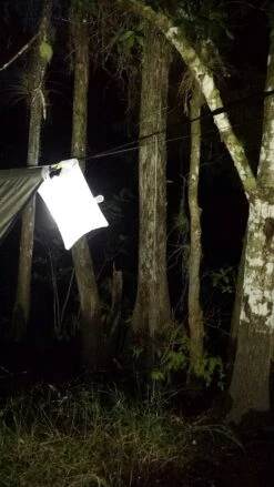 LuminAID Lantern -Cozy Camp Shop 2014 08 09 20 43 41