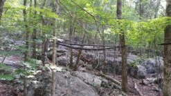 Hennessy Hammock Safari Deluxe Asym Classic -Cozy Camp Shop 20150822 105858