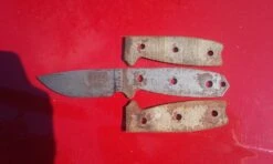 ESEE Knives ESEE-3 Uncoated -Cozy Camp Shop 2016 06 28 10 22 01
