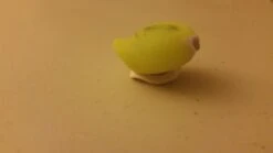 Amphipod Swift-Clip Cap Light -Cozy Camp Shop 20161001 220602