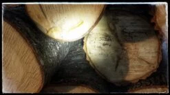 Ledlenser MT10 -Cozy Camp Shop 20171119 153533 01