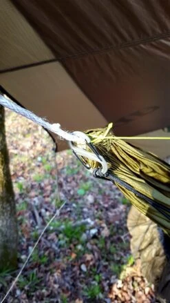 Hammock Gear Premium Incubator 20° -Cozy Camp Shop 20180417 082253