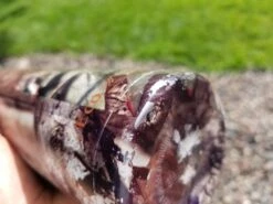 EcoVessel The Boulder Insulated -Cozy Camp Shop 20190820 161349