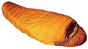 Feathered Friends Snow Goose 1 Feathered Friends Snow Goose