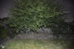 BioLite PowerLight Mini -Cozy Camp Shop BioStill07