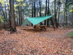 Coleman Montana 4 -Cozy Camp Shop CIMG2099