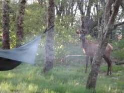 Hennessy Hammock Ultralight Backpacker Asym -Cozy Camp Shop DSC03331