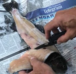 Leatherman Wave -Cozy Camp Shop FullSizeRender 4