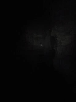 ZebraLight H600 MK II -Cozy Camp Shop H600 MK II 5