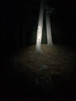 NiteRider Adventure 180 -Cozy Camp Shop IMG 1091