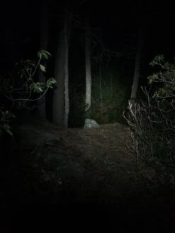 NiteRider Adventure 180 -Cozy Camp Shop IMG 1098