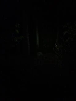 NiteRider Adventure 180 -Cozy Camp Shop IMG 1099