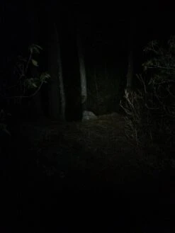 NiteRider Adventure 180 -Cozy Camp Shop IMG 1100