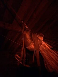 NiteRider Adventure 180 -Cozy Camp Shop IMG 1118