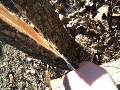 SOG Seal Pup Elite 34 SOG Seal Pup Elite -Cozy Camp Shop IMG 3709