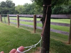 Grand Trunk Ultralight Hammock -Cozy Camp Shop IMG 3946