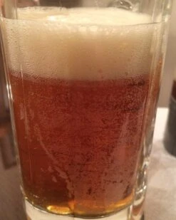 Pat's Backcountry Beverages Carbonator Bottle -Cozy Camp Shop IMG 5189