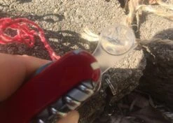 Victorinox Swiss Army SwissChamp SOS Set -Cozy Camp Shop IMG 8753