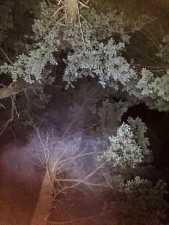 Ledlenser MT10 -Cozy Camp Shop LEDlenser 6 of 6