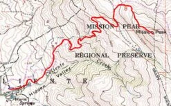 Black Diamond Icon Polar -Cozy Camp Shop MisnBDIconPolarTrack