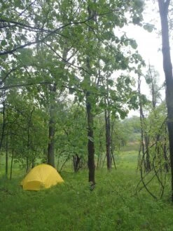 SlingFin 2Lite -Cozy Camp Shop P5310189