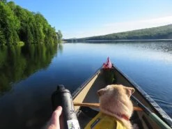 RTIC 18oz Bottle -Cozy Camp Shop early solo june green river 26