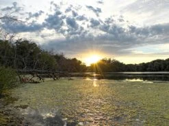 MSR Guardian Purifier -Cozy Camp Shop msr13 easyHDR