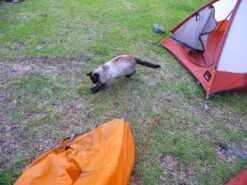 MSR Fury -Cozy Camp Shop msrfury4