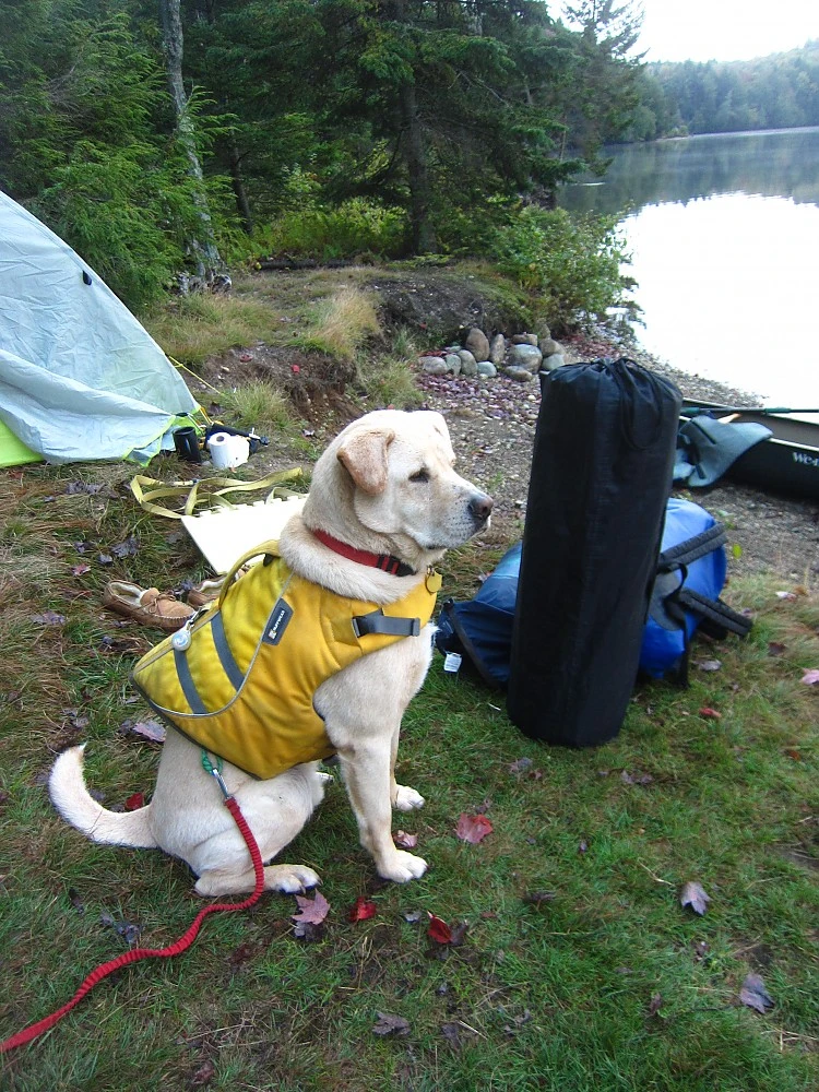 ALPS Mountaineering Lightweight Series Self Inflating Air Pads 13 ALPS Mountaineering Lightweight Series Self Inflating Air Pads - Image 13